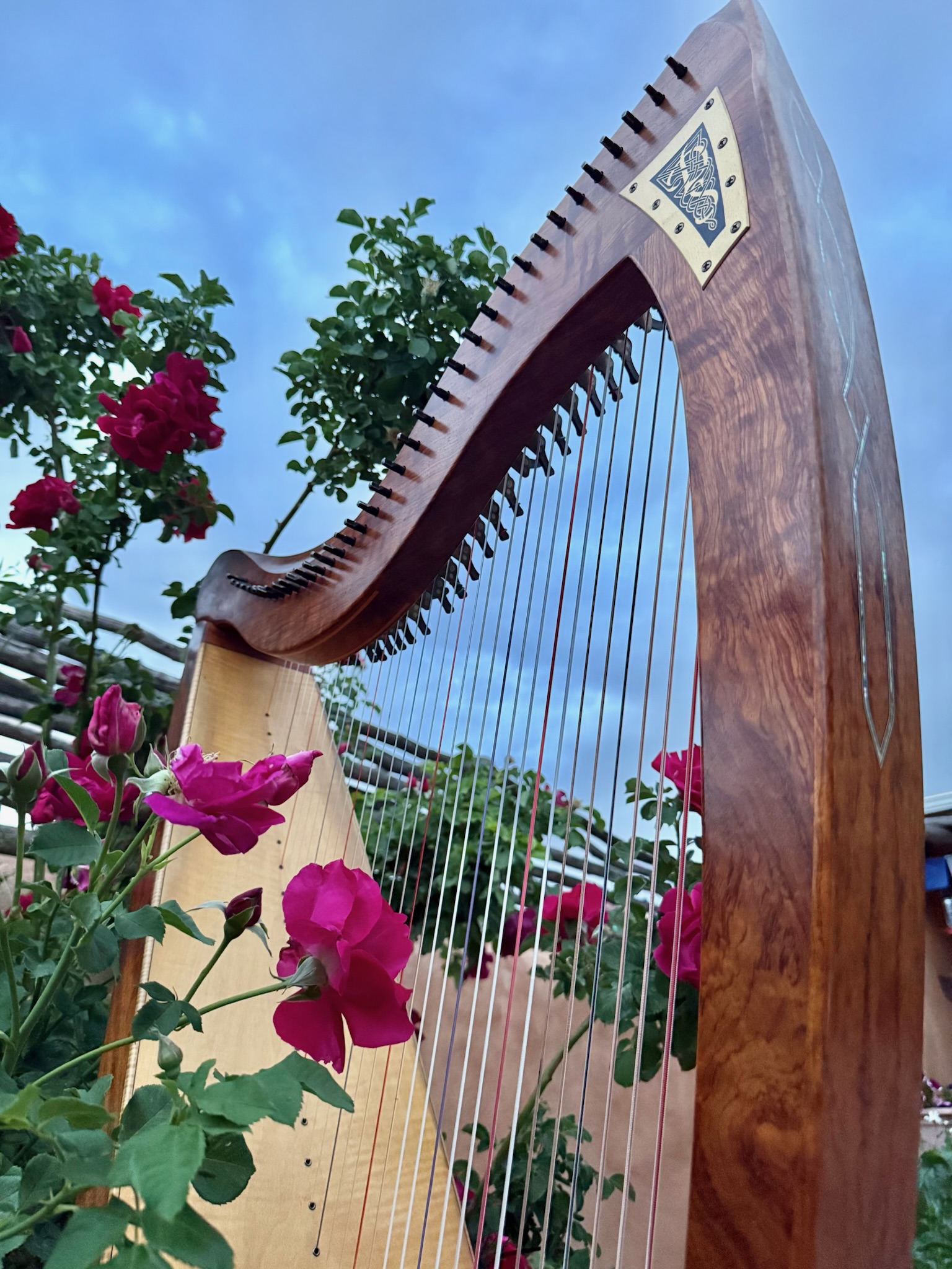 Taos Harp Music
