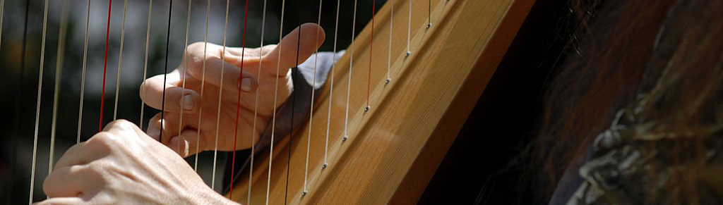 Julie Norem Hawley - Taos Harp Music