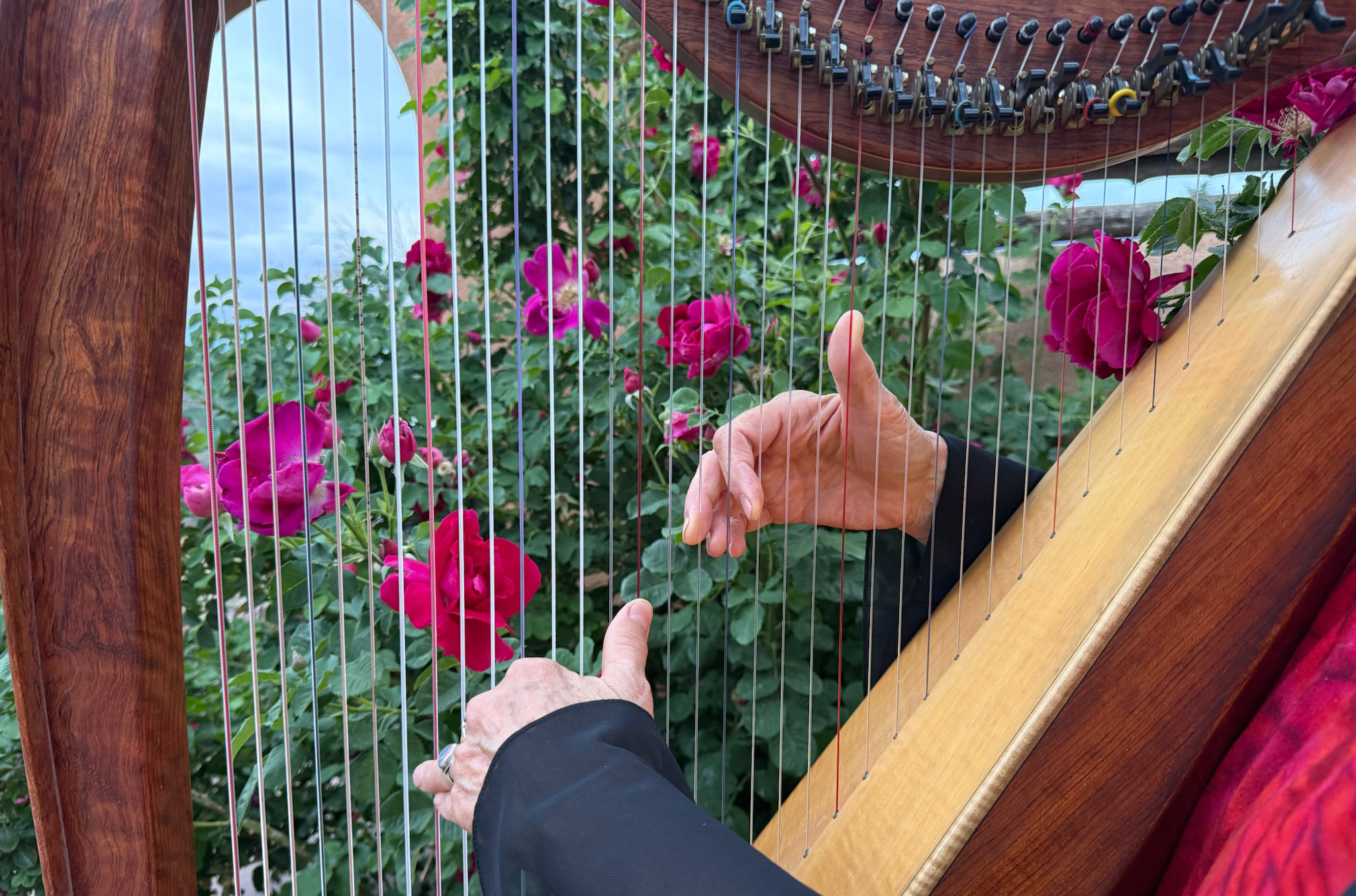 Taos Harp Music